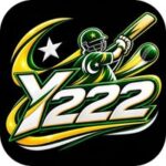 Y222 Game